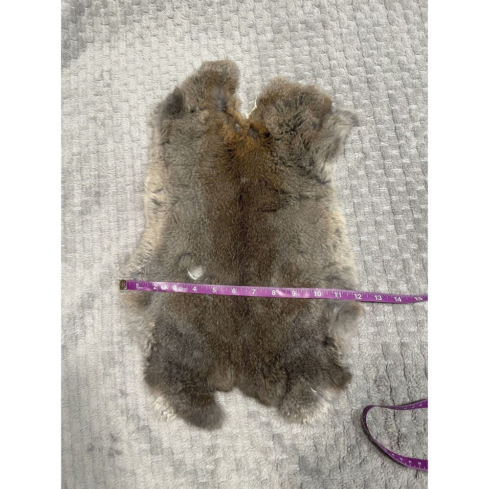 Genuine Rabbit Pelt Gray Brown Tanned Real Fur Hide Taxidermy Oddities Curios - Picture 3 of 5